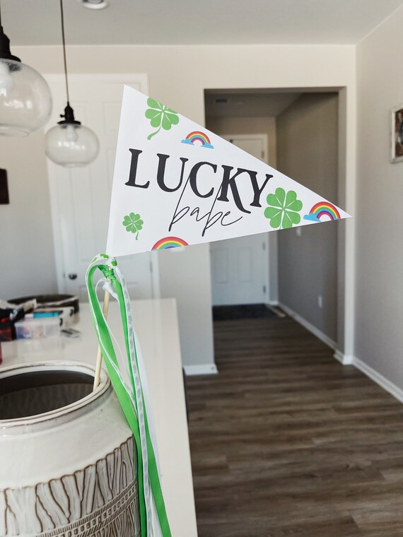 St. Patrick's Day Pennant Flag Printables  Printable | Etsy | Etsy (US)