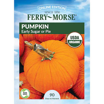 Ferry-Morse Organic Pumpkin Seeds 4.4 Gram(s) | Lowe's