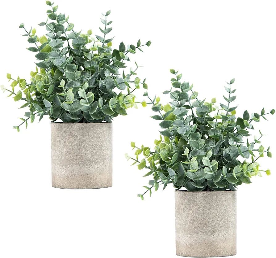 Coferset 2 Pack Small Fake Plants Eucalyptus Potted Artificial Plants for Shelf Desk Home Bathroo... | Amazon (US)