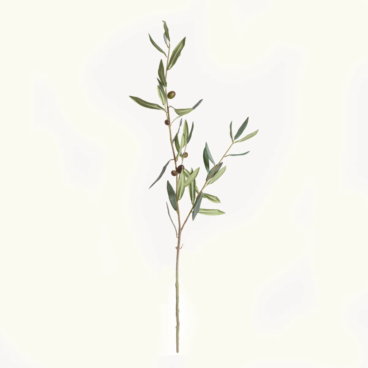 Compare Similar ItemsOLIVE STEMS WITH OLIVES 32", SET OF 4(Set of 4)$85.99  $21.50 per item  was$... | Wayfair North America