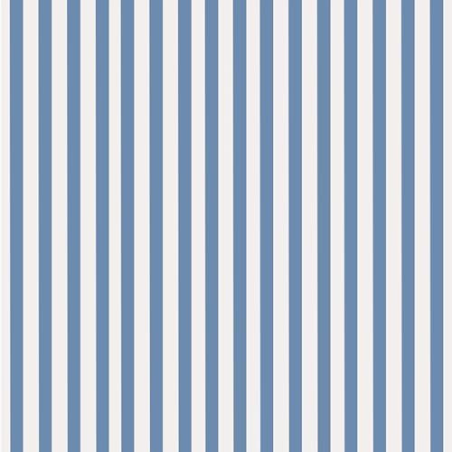 Stxy's 85 Paper Napkins Linen Feel Disposable Cloth Like Dinner Napkins Blue and White Seersucker... | Amazon (US)