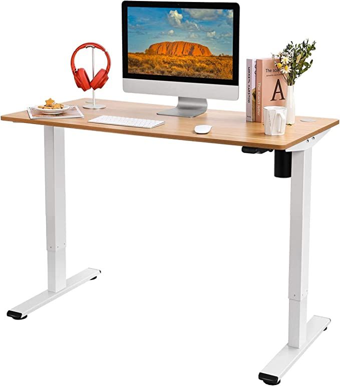 Flexispot EG1 Standing Desk, Height Adjustable Desk Electric Sit Stand Desk 48 x 24 Inches with S... | Amazon (US)
