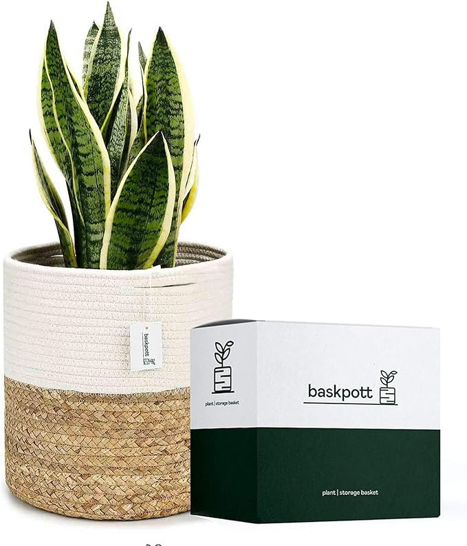 Cotton Plant Basket – Perfect to Cover Plant Pots Indoor and for Home Decor – Useful as Stora... | Amazon (US)