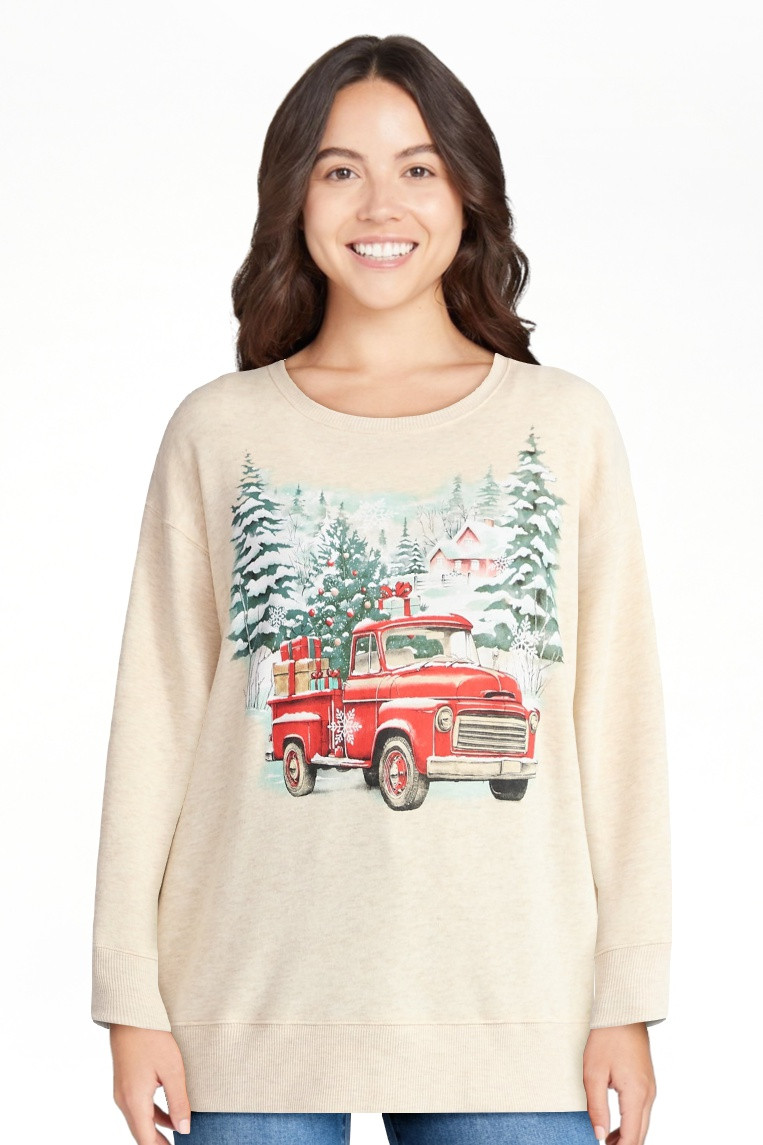 Women's Christmas Winter Cabin Graphic Fleece from Holiday Time, Sizes S-XXXL | Walmart (US)