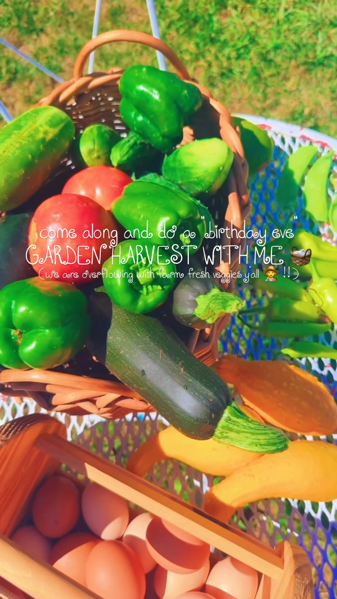 Come along and do a “birthday eve” garden harvest with me!! 🧺 We are overflowing with farm fresh veggies y’all! 👩‍🌾