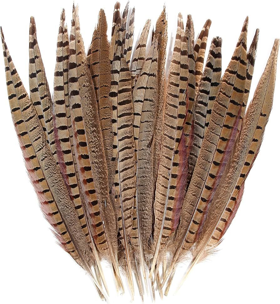 20pcs Male Pheasant Feather Natural Ringneck Tails Feathers 14-16inch 35-40cm for Crafts Home Wed... | Amazon (US)