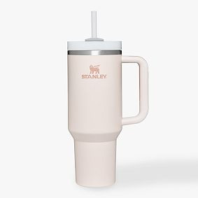Stanley Quencher Flowstate Tumbler | Pottery Barn Teen