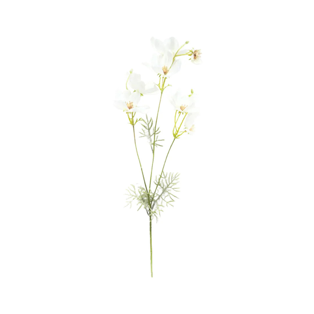Garden Cosmos | Heritage House