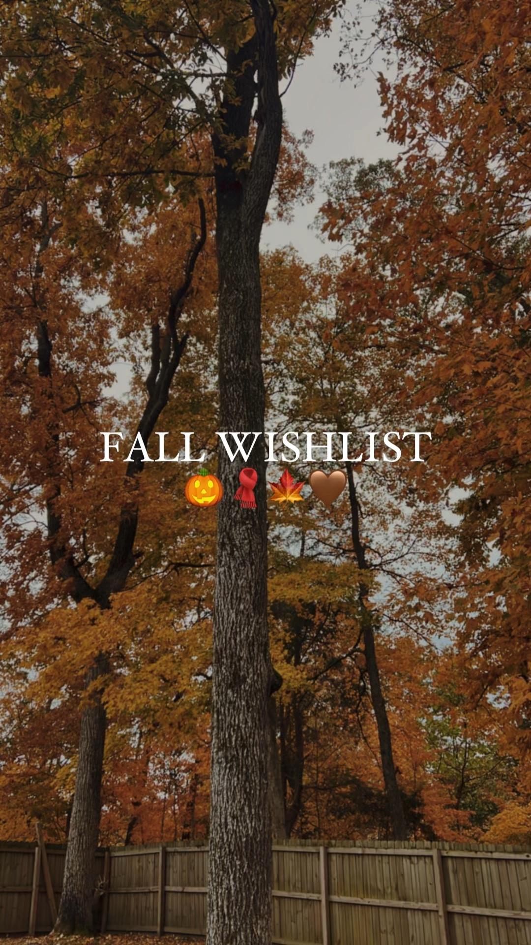 FALL WISHLIST 🎃🤎🍁🍂
from cozy clothing to home decor. these items might be quickly moving from the wishlist to the cart… 🤫 what’s on your fall wishlist this year and where is your favorite place to shop for fall?

#LTKVideo #LTKSeasonal
