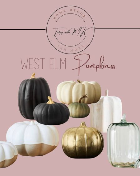 West Elm | Unique Pumpkins
.
Fall pumpkins, fall decor,pumpkins, home decor,


#LTKSeasonal #LTKhome