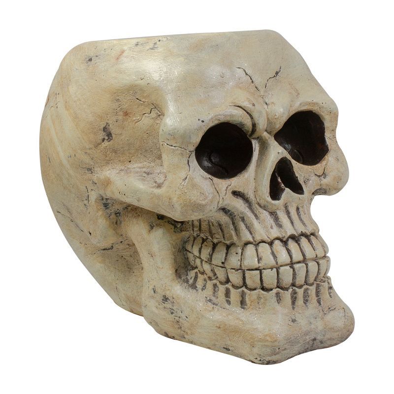 Northlight 11" Ivory and Black Halloween Skull Tabletop Decoration | Target