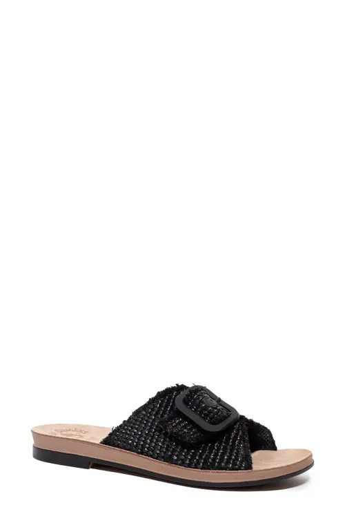 Fantasy Sandals Rosemary Raffia Slide Sandal in Black at Nordstrom, Size 8-8.5Us | Nordstrom