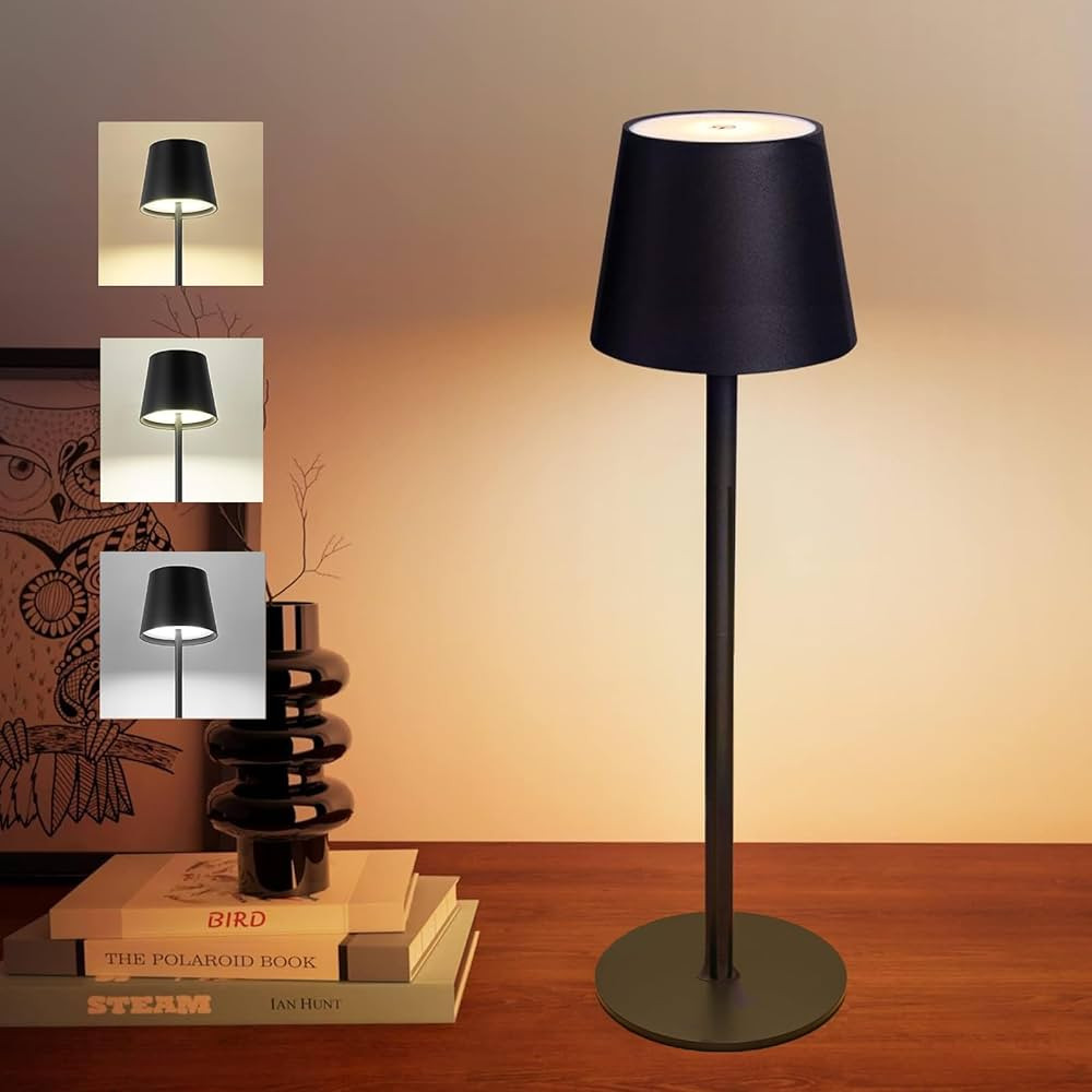 2-in-1 Wireless Bottle Table Lamp – Customizable Cordless Touch Dimmable LED Table Light with R... | Amazon (CA)