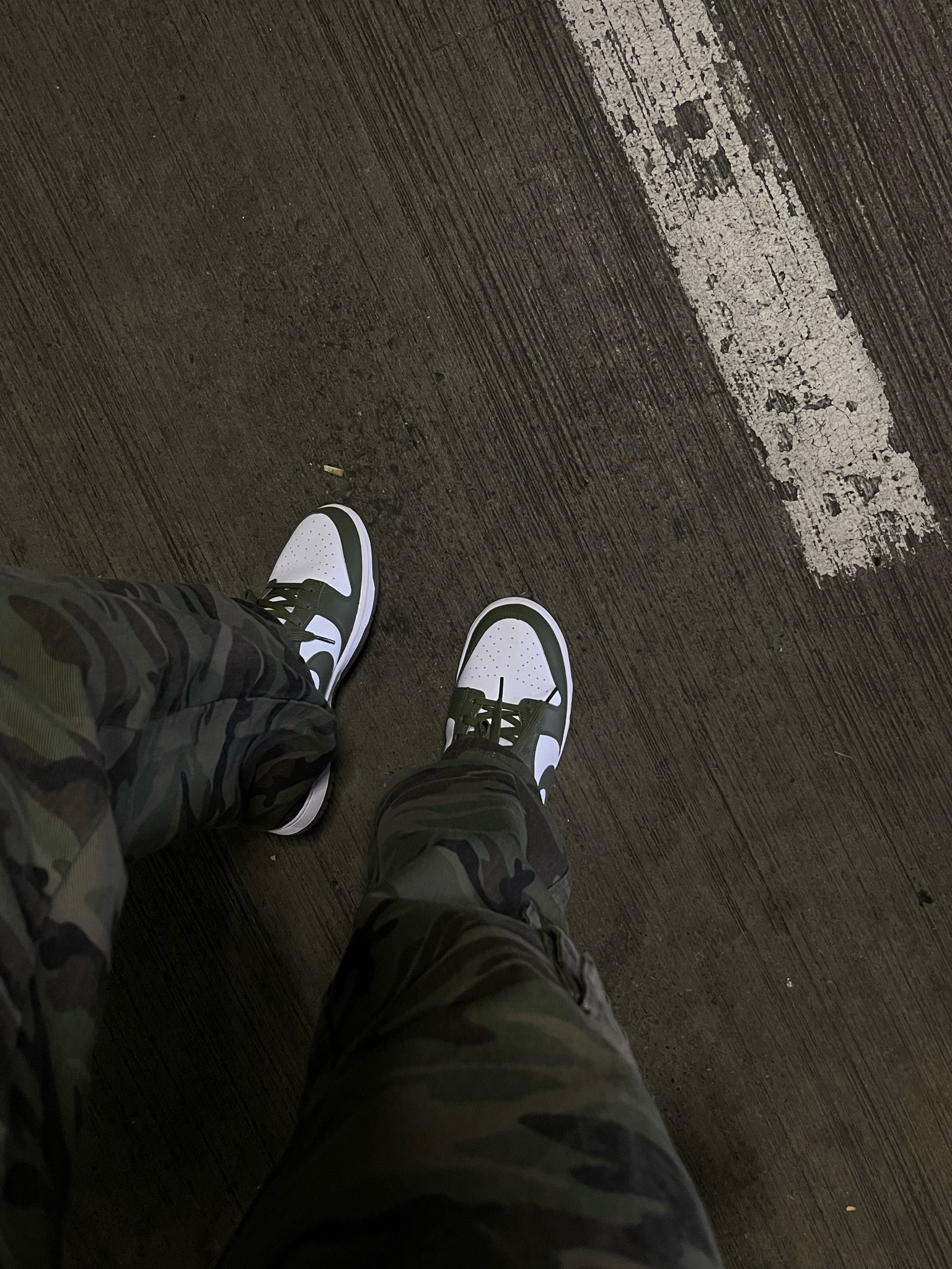 Nike dunks , nike, olive green, camo , street wear 
 
