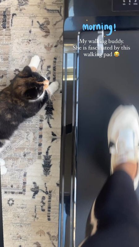 Hoping this walking pad helps me reach my step goals/day. Loving it so far, and Nori is clearly fascinated by it🙀

#LTKfitness #LTKhome #LTKVideo