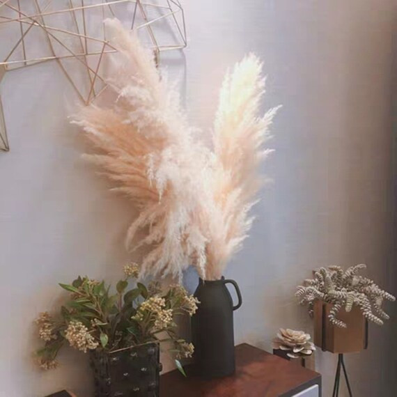 3 pcs Dried Pampas-30'' -38 L | Etsy (US)