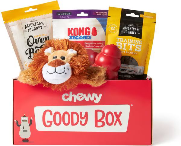 GOODY BOX x KONG Classic Dog Toys & Treats, Large - Chewy.com | Chewy.com