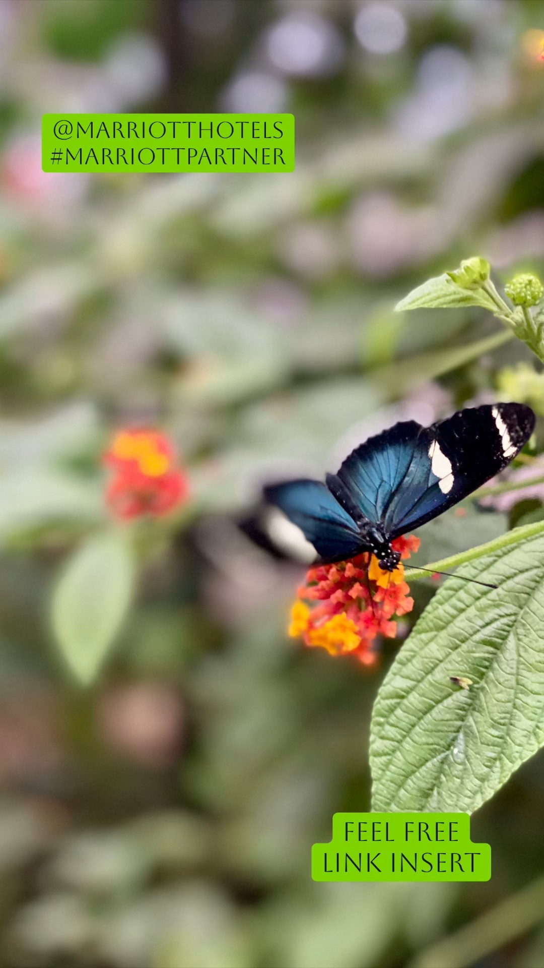 Big Marriott Sale! Book now! #MarriottPartner 

#LTKGiftGuide #LTKTravel #LTKHoliday