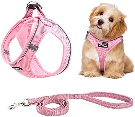 Amazon.com : HeiYi Puppy Harness and Leash Set, Dog Harness Vest Set Reflective and Breathable Ma... | Amazon (US)