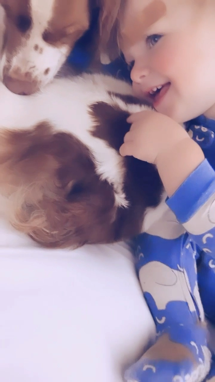 someone sure was happy to see his puppy when he woke up this morning 👼🏼🫶🏽🐶

#LTKhome #LTKbaby #LTKfamily