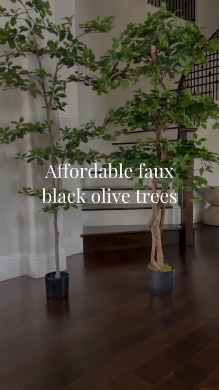 Two affordable faux black olive trees, sometimes referred to as Shady Lady.

Also linking to some other faux black olive tree options in a higher price point.



#LTKhome