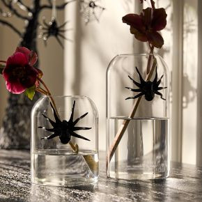 Glass Spider Vases | West Elm (US)