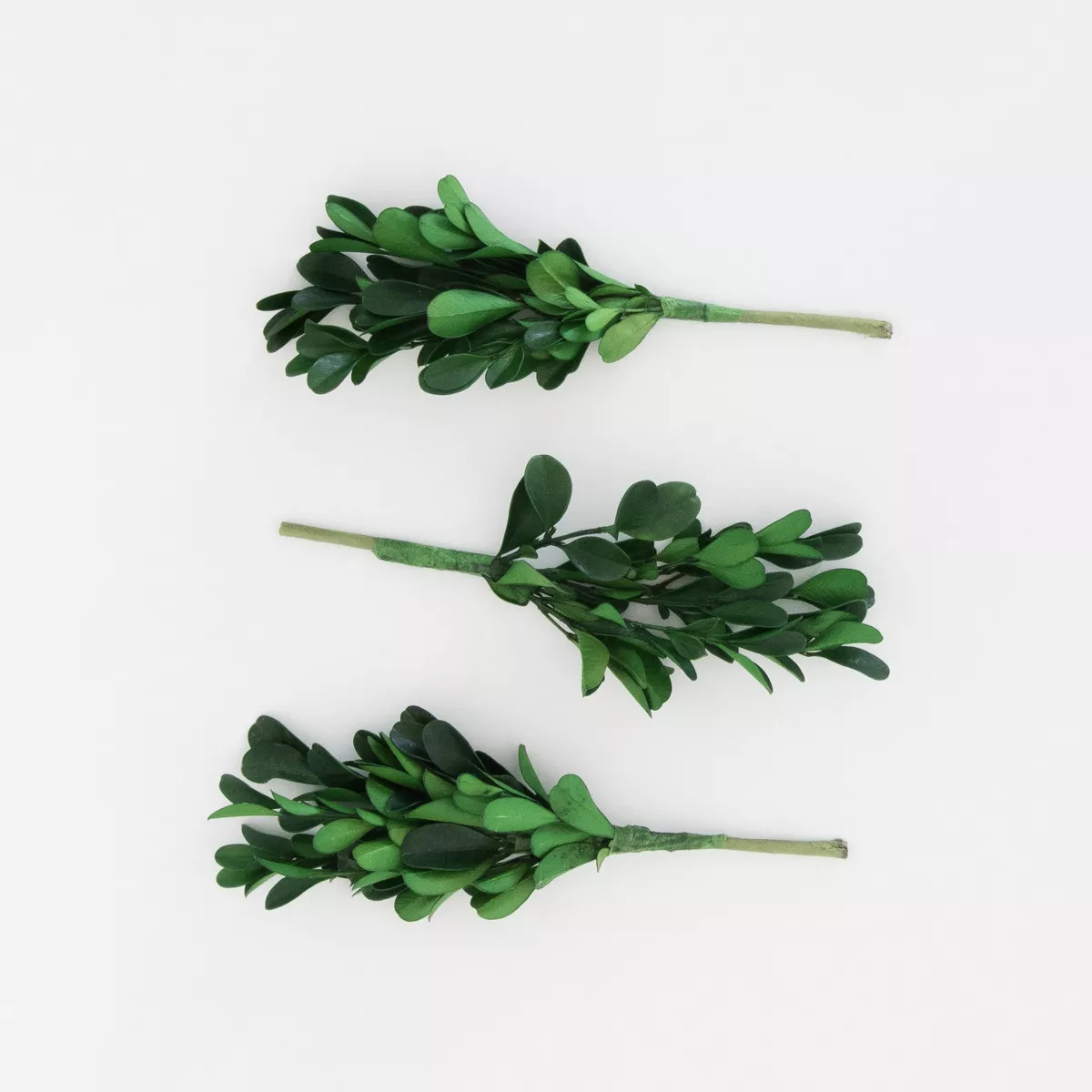 3ct Preserved Boxwood Ornament Topper - Sugar Paper™ + Target | Target