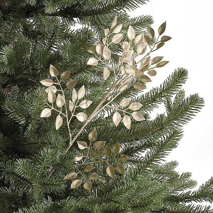 Ruscus Leaf Stems, Set of Six | Frontgate | Frontgate