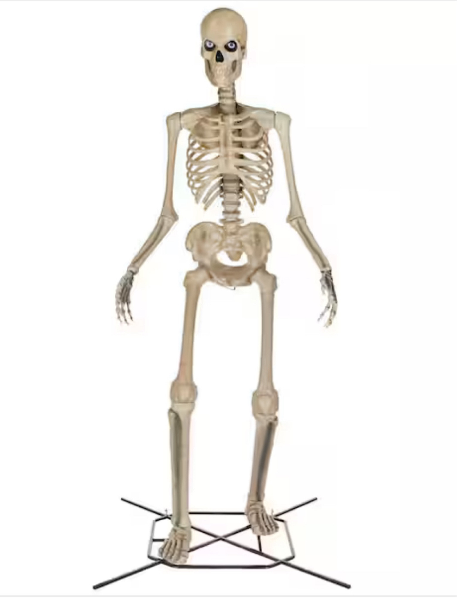 The 12-foot skeleton is out of the grave and ready to haunt another Halloween season 🎃👻 #SpookySeason #HalloweenObsessed #HomeDepotFind #sellout #halloween 