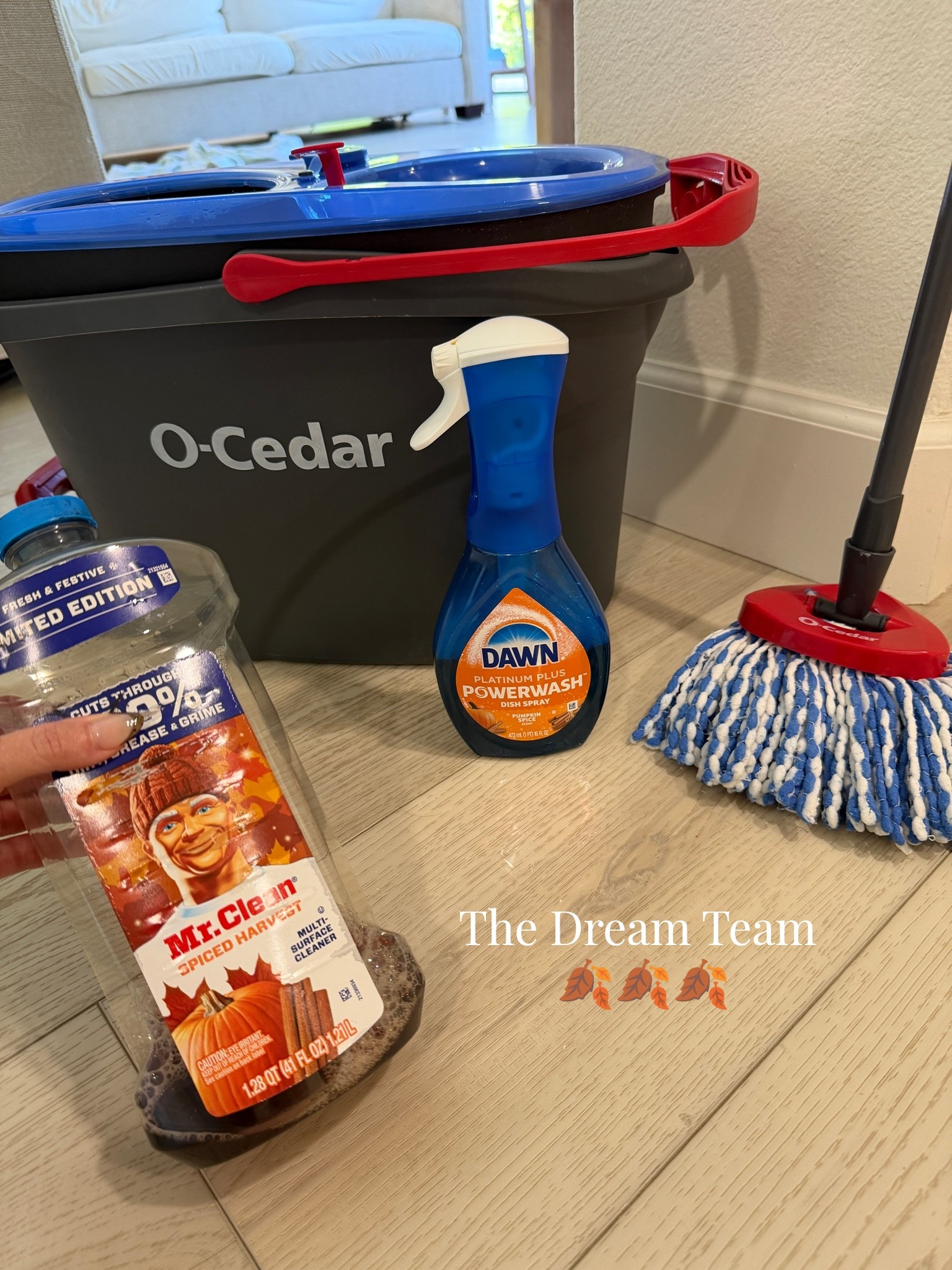 Fall cleaning products 
Clean floor essentials 
Fall home scents 
Home cleaning products 
Pumpkin cleaning products

#LTKmomlife #LTKHome #LTKOver40