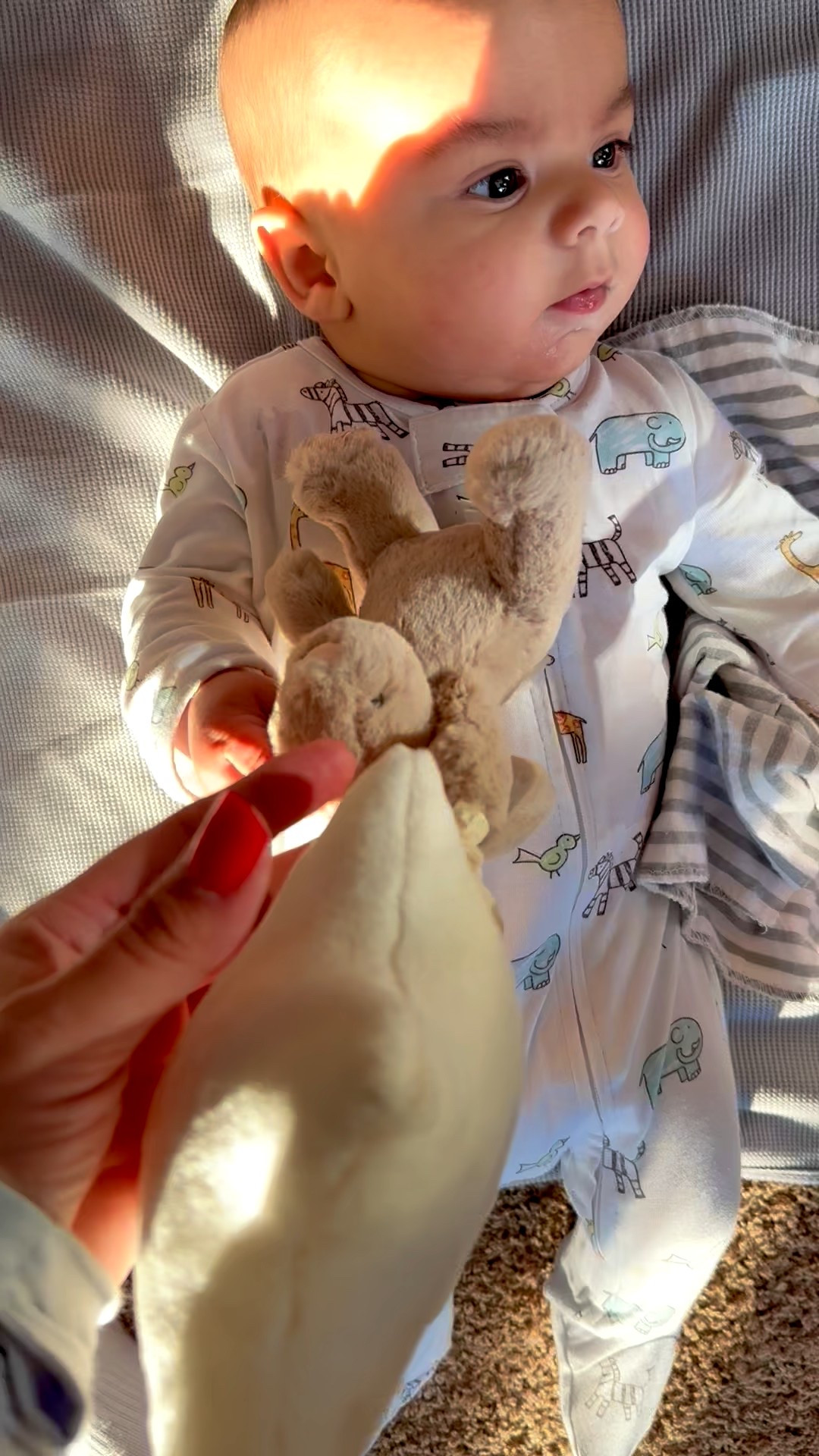Luke and his little Jellycat musical bunny 🥹

The softest star pull with the sweetest little song. He just lays there listening and staring at it like it’s the best thing he’s ever seen.

Seven seconds of him loving that tiny tune 🤍

Such a sweet little Easter basket idea. 🐰 

@shop_nordstrom 

#LTKKids #LTKBaby #LTKSeasonal