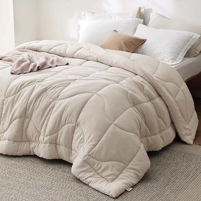 Bedsure Queen Comforter - Comforters Queen Size for All Season, Ultra-Soft Down Alternative & Pre... | Amazon (US)