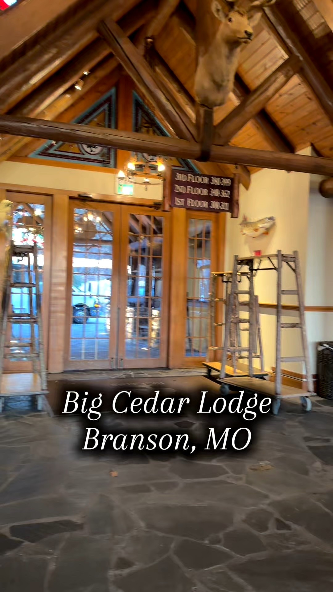 Come on a walk with me around Big Cedar Lodge. Big Cedar is one of my favorite places to stay in Branson! I love how they still have Christmas decorations up. 

#LTKvlog #LTKdayinmylife #LTKTravel