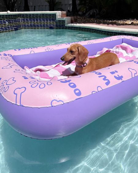 The cutest pool float for the pups! Honey loves it 🥰 comes in blue too! 

Summer finds, amazon finds, pool day, dog finds, vacation, fancythingsblog 

#LTKHome #LTKFindsUnder100 #LTKFindsUnder50