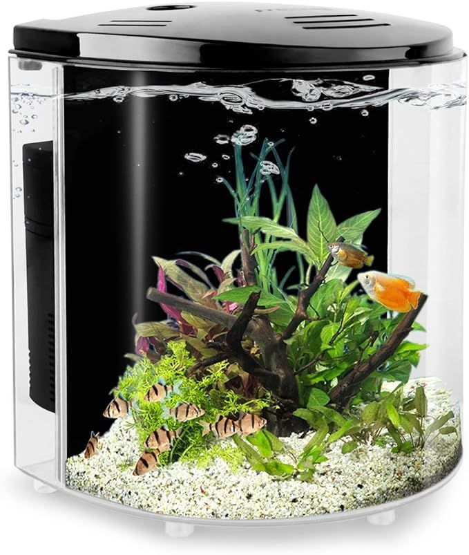 YCTECH 1.2 Gallon Betta Aquarium Starter Kits Fish Tank with LED Light and Filter Pump Black (320... | Amazon (US)