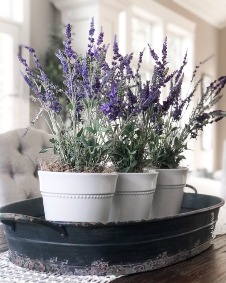 It’s time to start thinking about spring blooms!

Faux flowers, flower pots, faux lavender, centerpieces, large trays, table decor, spring decor, home decor  

#competition

#LTKhome #LTKFind #LTKSeasonal