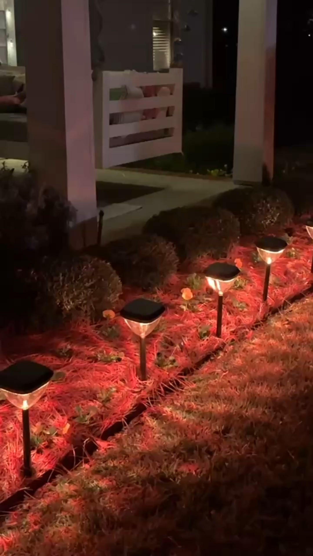 These solar lights made my backyard look like a Christmas Wonderland!!!


Amazon, Amazon finds, Amazon home finds, found it on Amazon, Amazon deals, backyard, yard finds, yard lights 




#LTKCyberWeek #LTKOver40 #LTKHome