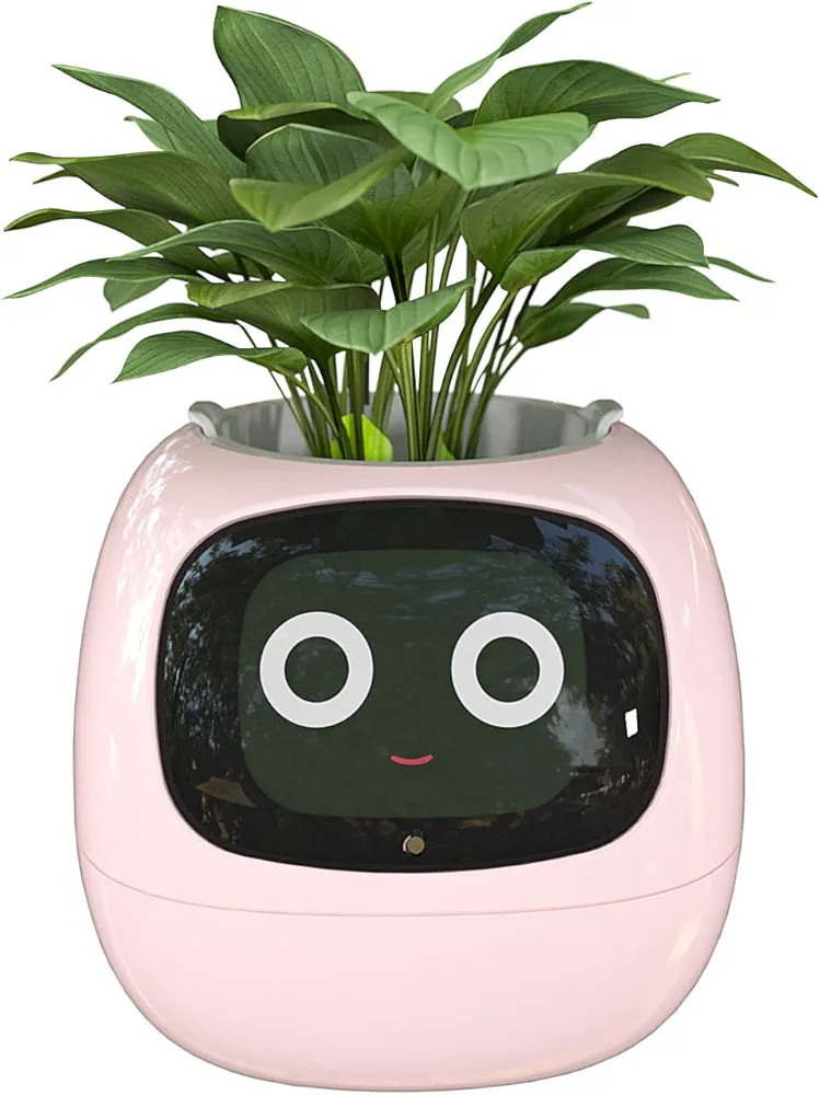 Masdio Smart Flowerpots, with Artificial Intelligence, Time Temperature Display, and Numerous Exp... | Amazon (US)