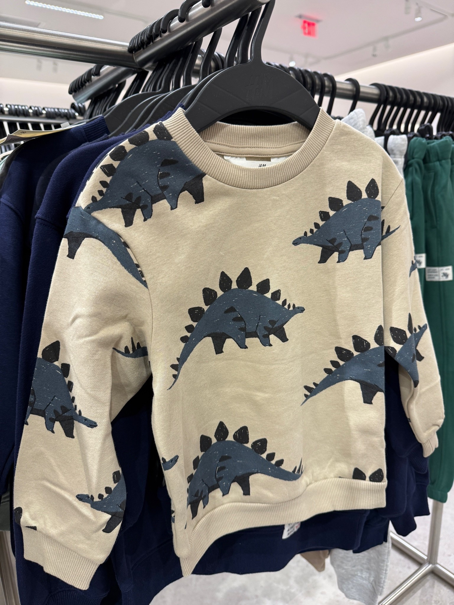 Cutest dino sweats for boys at H&M right now! 🦕

#sale #haul #boys #kids #dinosaur #dino

#LTKKids #LTKSaleAlert #LTKmomlife