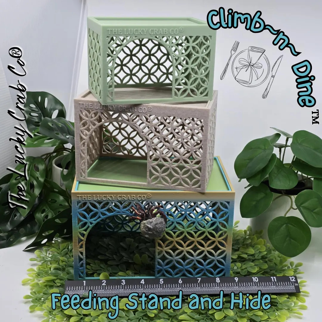 3D Printed Hermit Crab Feeding Stand & Hide: Mid-century Modern Climb-n-dine™ - Etsy | Etsy (US)