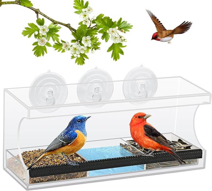 Jarkyfine Window Bird Feeder for Viewing with Strong Suction Cups - Window Bird Feeders for Outsi... | Amazon (US)