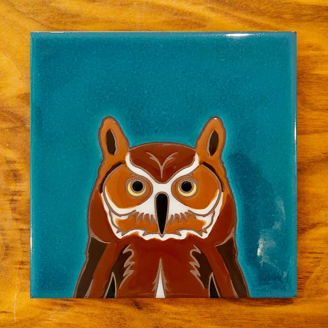 6x6 Great Horned Owl Hand glazed Ceramic Tile | Etsy (US)