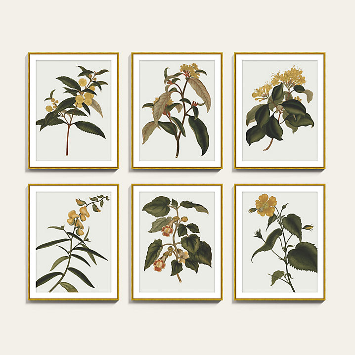 Golden Blooms Art | Ballard Designs, Inc.