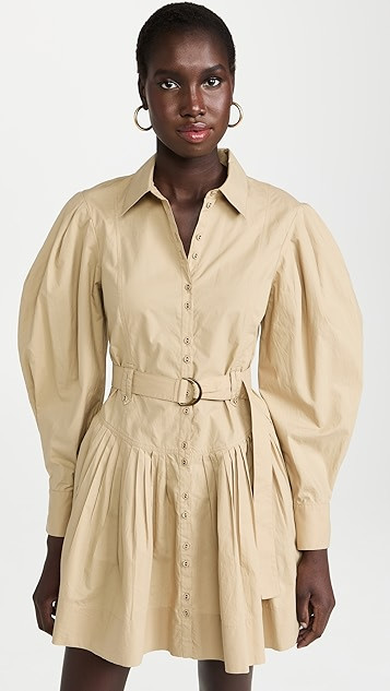 Vivenne Pleated Dress | Shopbop