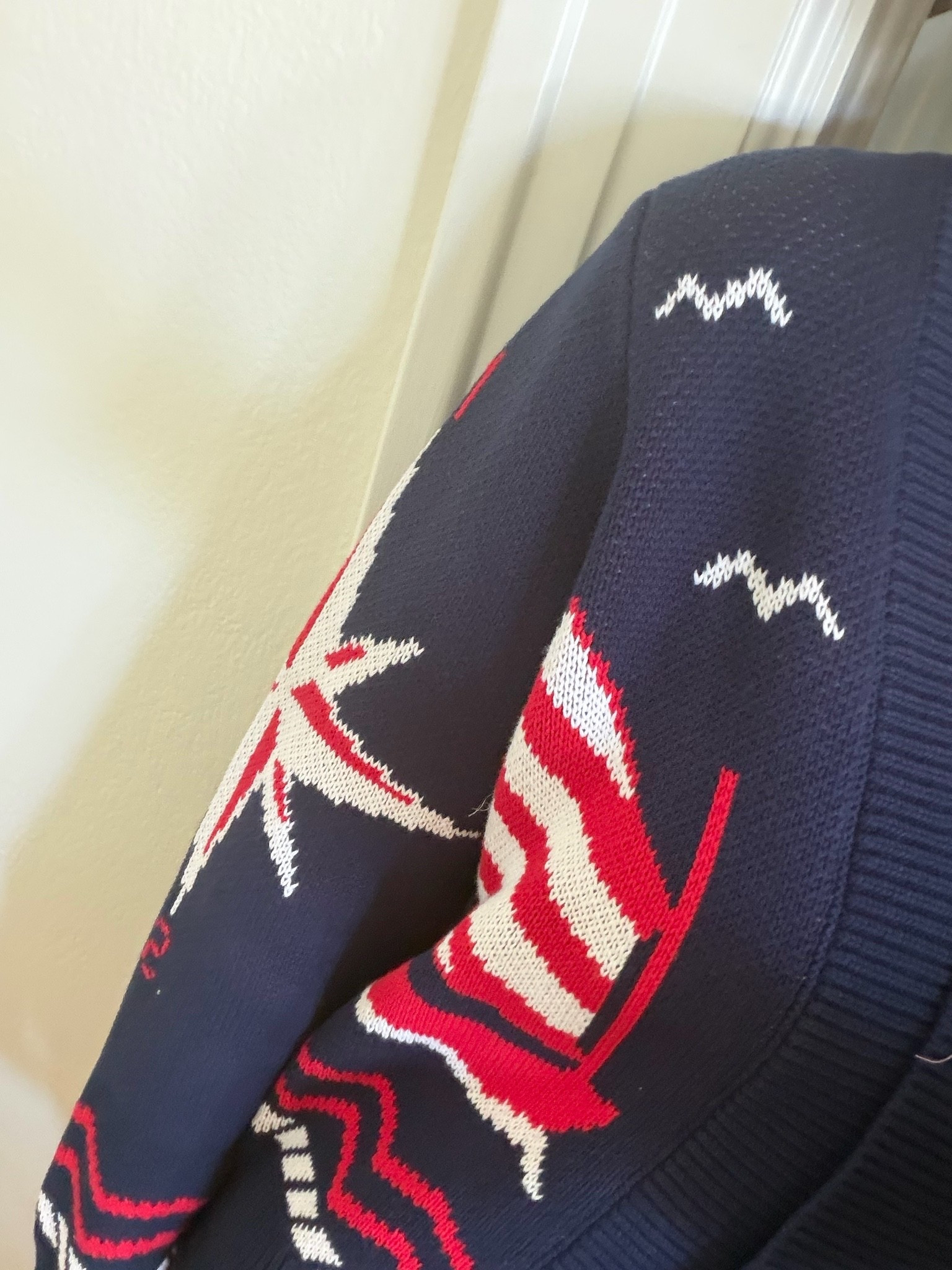 Should i bring to DC?!  Love this Americans sweater

#LTKdayinmylife #LTKootd