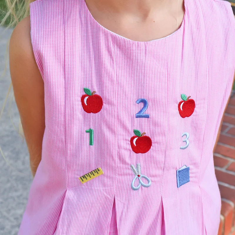 Ready To Learn Pink Mini Gingham Chloe Dress | Classic Whimsy