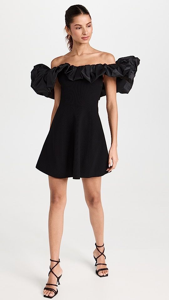 Eldora Mini Dress | Shopbop