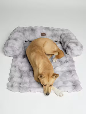 Dream Cloud Pet Sofa Bed — Comfrt | Comfrt