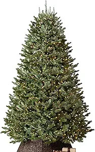 Balsam Hill BH Fraser Fir - Full Christmas Tree with Most Realistic True Needle Foliage, Easy Plu... | Amazon (US)