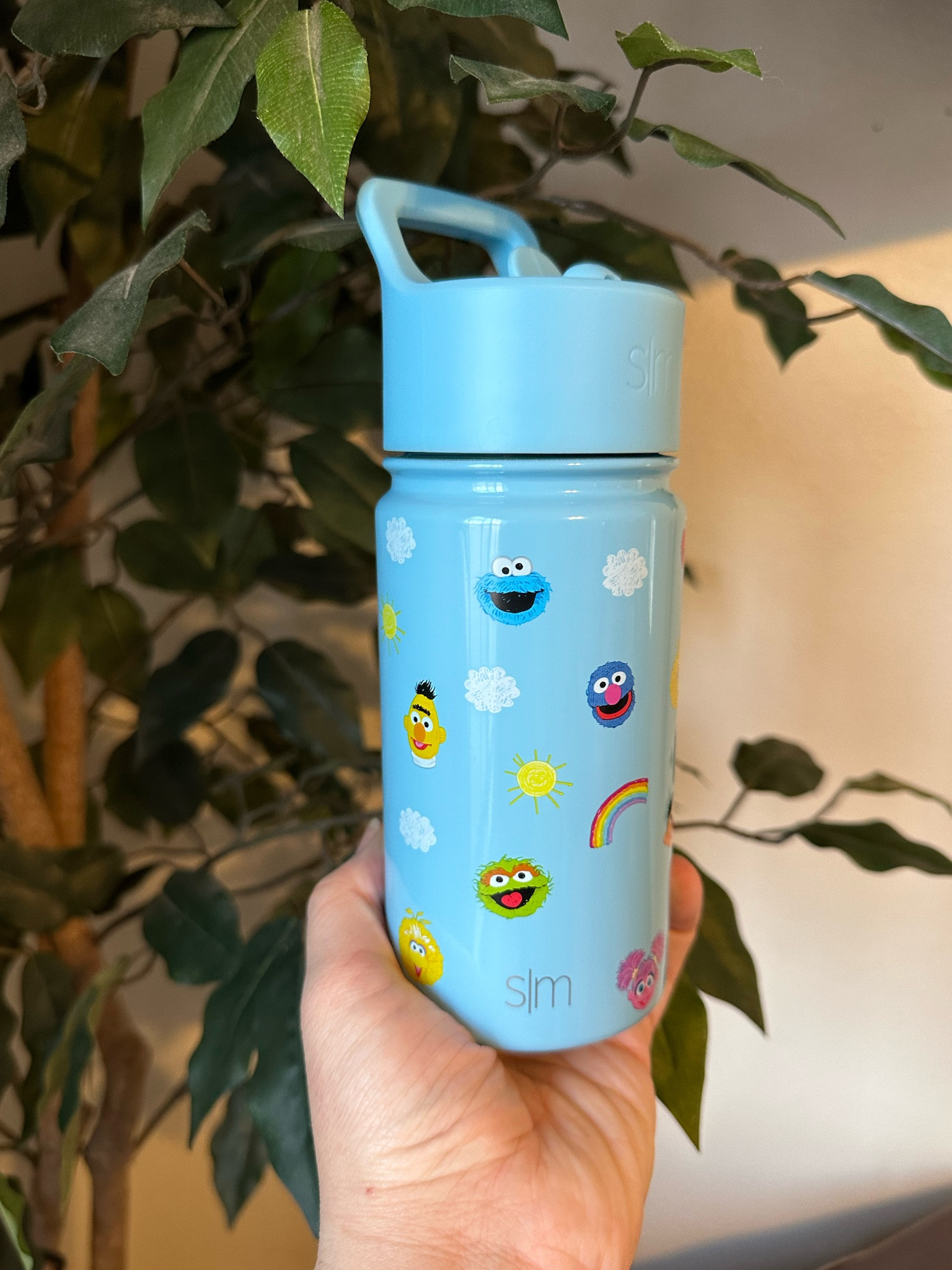 Simple Modern Sesame Street water bottle

#LTKSpringSale #LTKkids #LTKfamily